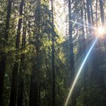 漫蛙官网入住攻略:轻松开启你的精彩旅程 n03qz