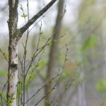 畅享高清影片,尽在在线观看右手影院 0i5zz81206